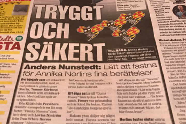 "Det är en skiva att lyssna till." profile picture