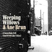 A Snowflake Fell (And It Felt Like A Kiss) feat. Ane Brun profile picture