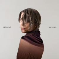 Wildfire profile picture