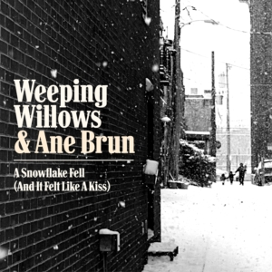 A Snowflake Fell (And It Felt Like A Kiss) feat. Ane Brun profile picture